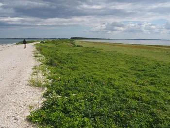 Halshuisene + Enebaerodde Beach (Denemarken)